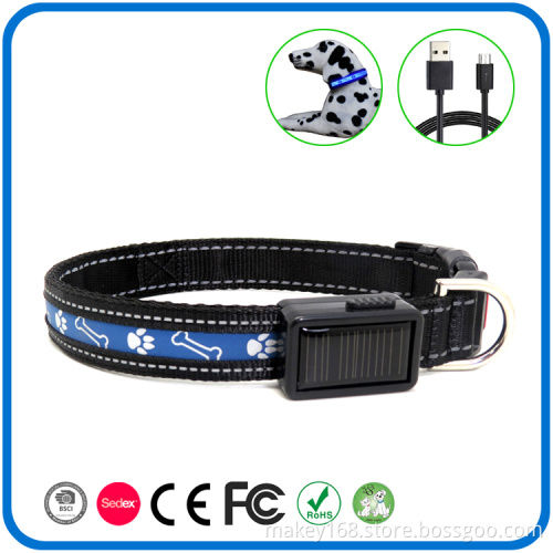 USB Rechargeable Personalized Dog Collars That Light Up